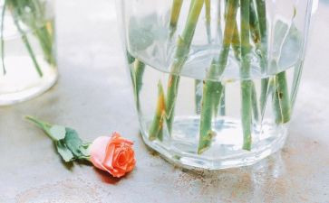 谁来了数学教案通用7篇