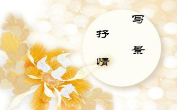 抒情的作文800字推荐5篇