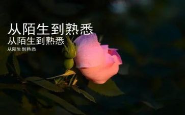 我熟悉的人作文600字作文最新8篇
