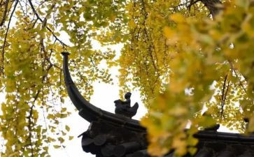 寺库活动策划通用7篇