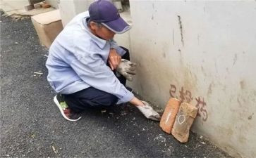 防四害工作总结5篇