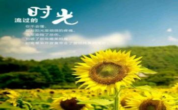 《岁月如歌》作文模板6篇