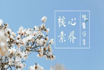 幼儿园教师素养心得5篇