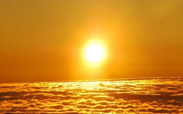 小太阳读后感6篇