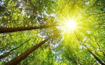 语言《太阳和月亮》教案推荐5篇