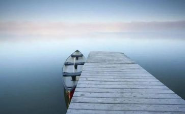 特别的人教案6篇