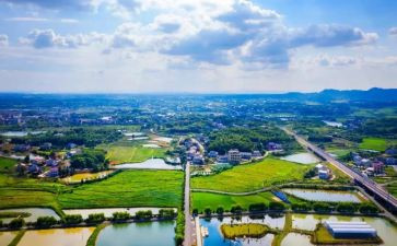 特岗个人述职报告6篇