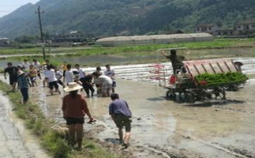 特岗教师个人述职报告推荐8篇