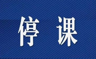 不停课不停学心得体会优秀6篇
