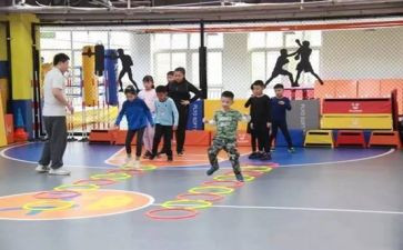 体卫艺工作工作计划5篇
