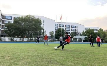 小学体卫工作计划5篇