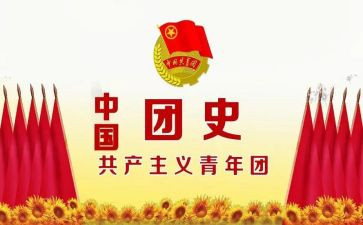 2023团史心得体会300字优秀7篇