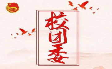 院团委工作总结8篇