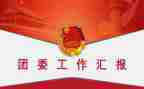 校团委工作总结报告8篇