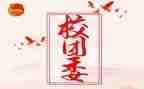 院团委工作总结8篇