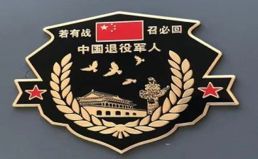 退役军人是事务站工作总结5篇