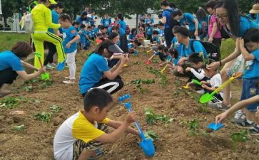 户外拓展训练心得精选6篇