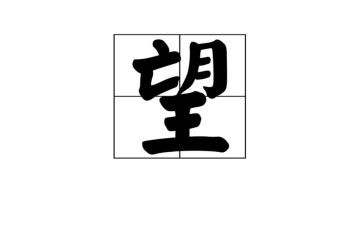 《我的愿望》的作文300字5篇