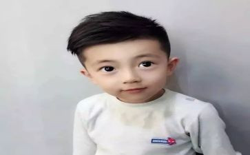猫王子演讲稿5篇