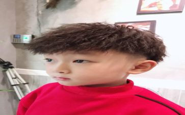 猫王子演讲稿精选6篇