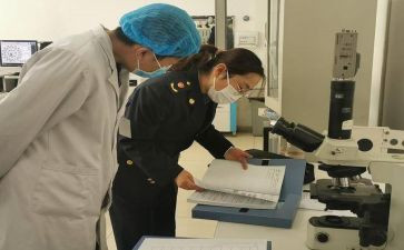 学校卫生调查报告5篇