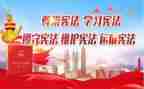 山的卫士心得体会6篇