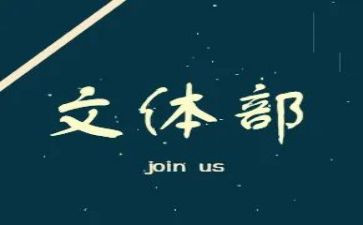 村文体工作计划6篇
