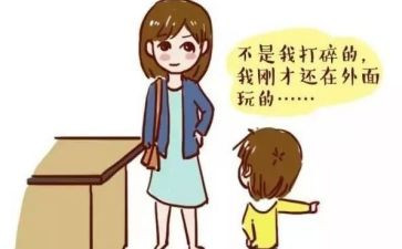 不是我的错作文800字8篇