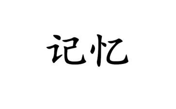 你留在我的记忆里作文600字5篇
