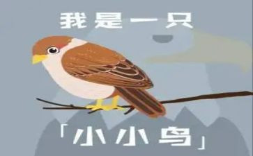 小班两只小鸟音乐教案5篇