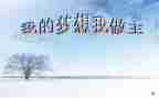 我的人生我做主800作文6篇