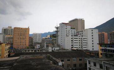 武都区市场调查报告最新8篇