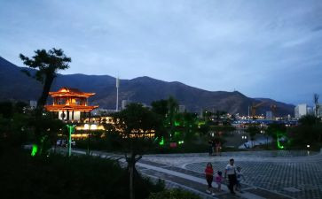 武都区市场调查报告推荐5篇