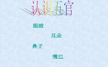 大班五官的教案8篇