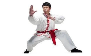 武术社团工作总结5篇