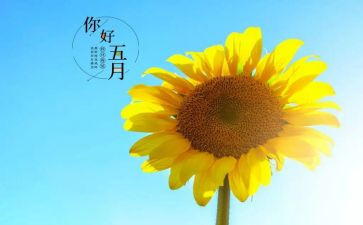 幼儿园五月班级工作总结8篇