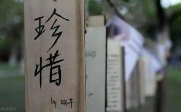 珍惜小演讲稿优质7篇