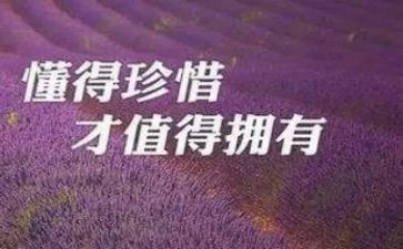 珍惜单位的心得体会5篇
