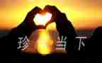 珍惜小演讲稿推荐7篇