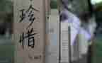 珍惜小演讲稿优质7篇