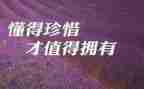 珍惜单位的心得体会5篇
