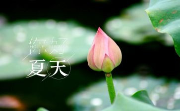乡村夏夜作文推荐8篇