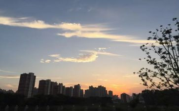 二年级下班主任工作总结最新7篇