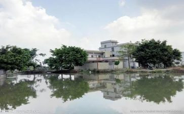 乡村旅游调研报告5篇