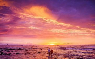 与书相伴的日子作文600字作文7篇