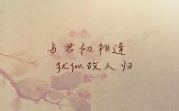 相逢作文700字6篇