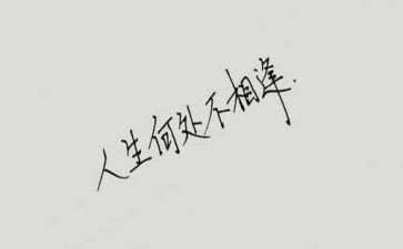 相逢在作文推荐6篇