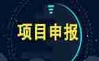 项目经理2024年述职报告精选6篇