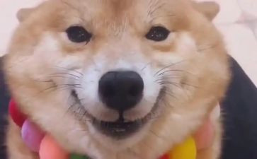 爱笑的我作文7篇