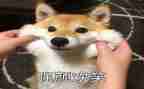 微笑5年级作文5篇